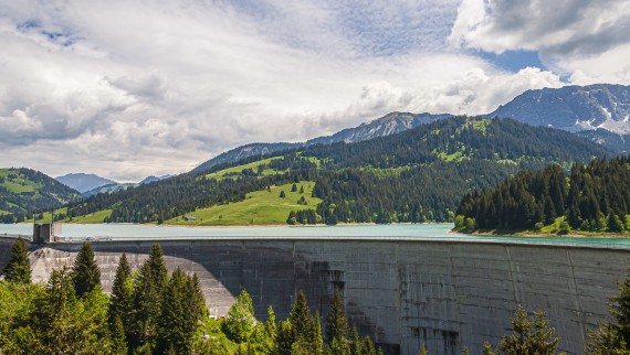Tamm taastuvelektri tootmiseks hüdroenergia abil (©wirestock/Freepik)