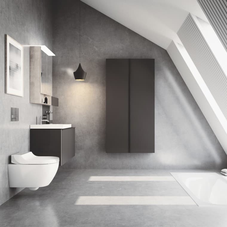 Roostevabast terasest kaanega Geberit AquaClean Tuma dušš-WC Roostevabast terasest kaanega Geberit AquaClean Tuma dušš-WC